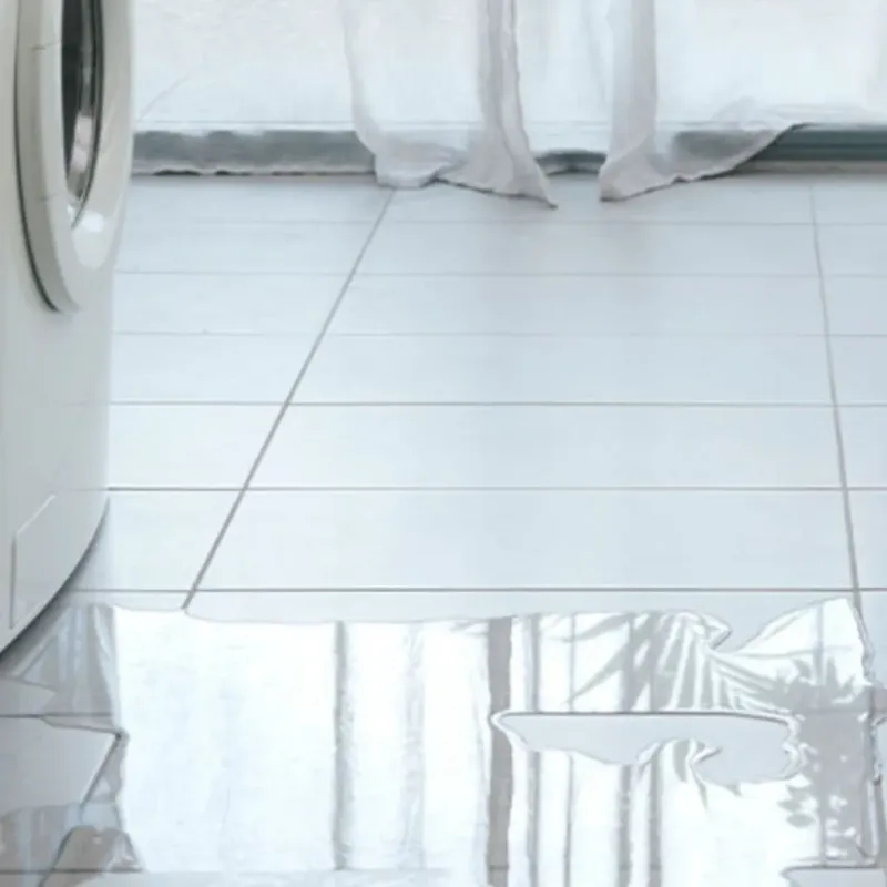 Appliance Leak Cleanup in North Augusta, SC
